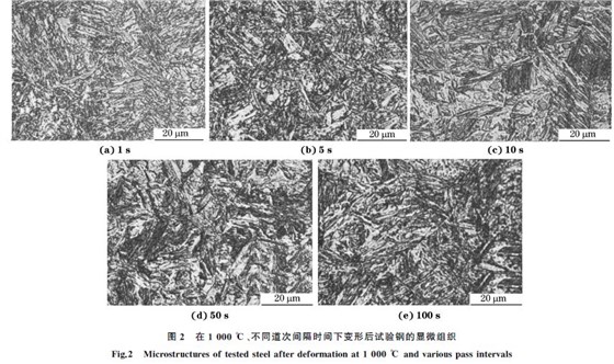 圖２ 在１０００ ℃、不同道次間隔時(shí)間下變形后試驗(yàn)鋼的顯微組織