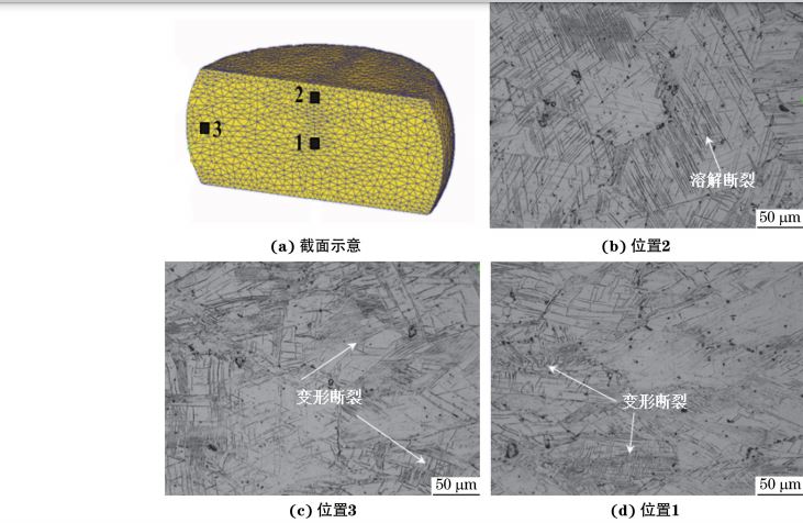 在９８０ ℃、應(yīng)變速率為０．０１０s－１下壓縮至應(yīng)變量為３０％后