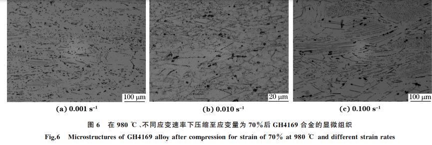 圖６ 在９８０ ℃、不同應(yīng)變速率下壓縮至應(yīng)變量為７０％